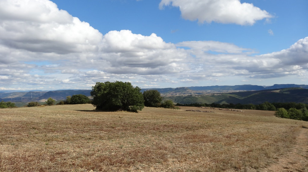 Le site du Puech del Comte, plus ancien vestige d’habitat fortifié attesté dans la commune de Montjaux